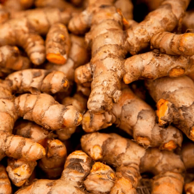 Turmeric Extract (Curcumin)