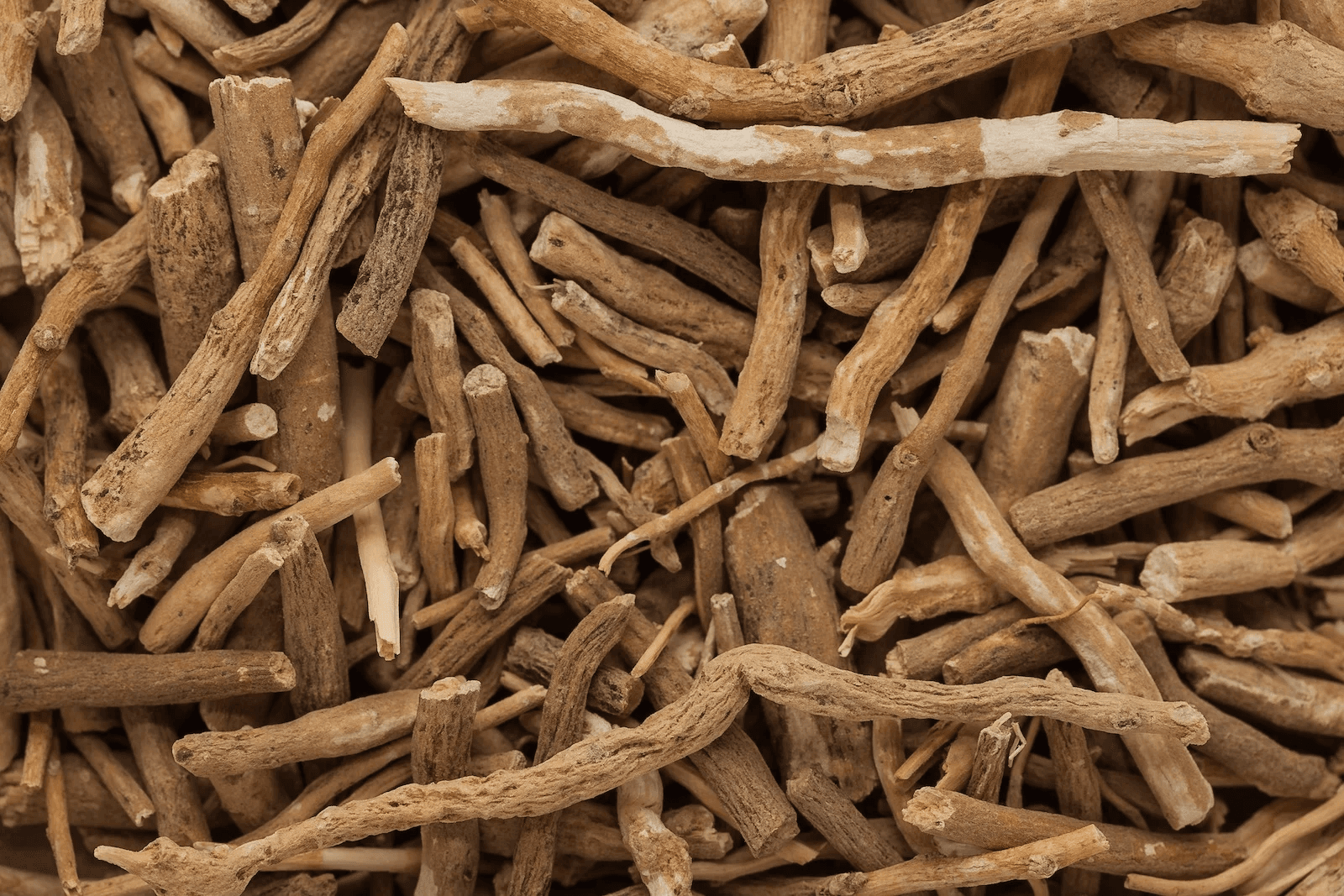 Ashwagandha Extract